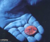 The Blue Room (EP) Lyrics Coldplay