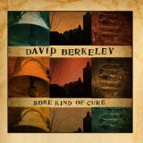 Some Kind Of Cure Lyrics David Berkeley