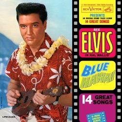 Blue Hawaii Lyrics Elvis Presley