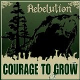 Safe And Sound Lyrics Rebelution